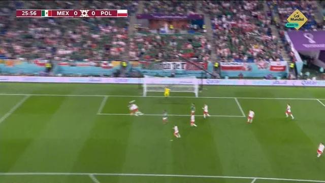 1669134680304045855.jpeg vega.jpeg